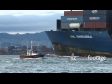 Container Ship Tauranga 3 1808
